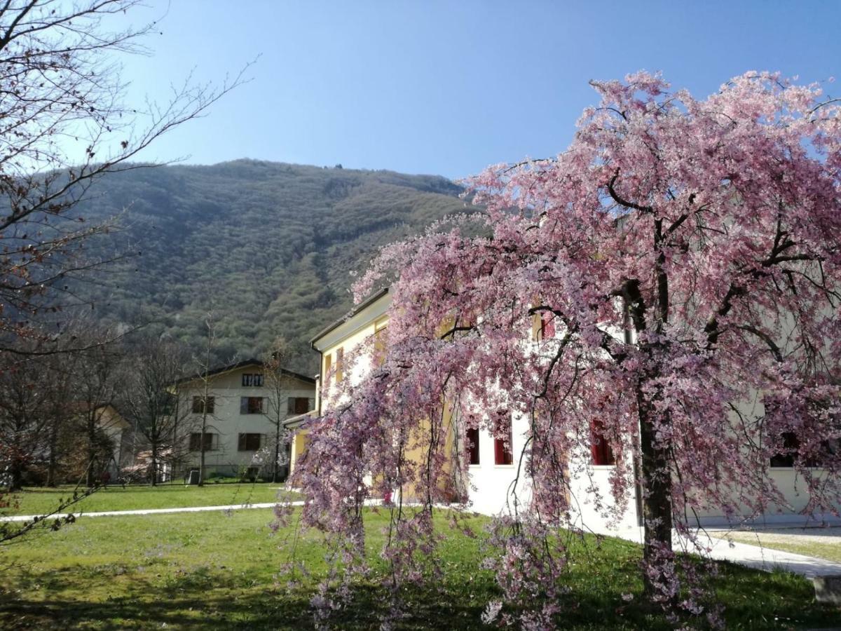 Agriturismo Memento Follina エクステリア 写真
